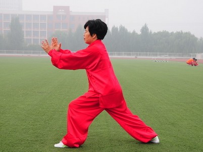 中华武术小百科