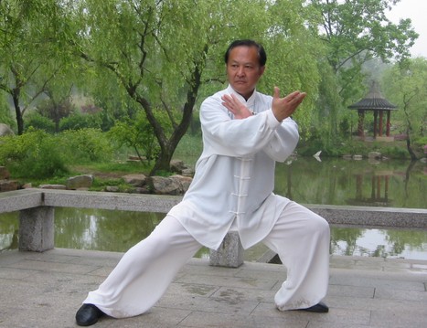 中华武术小百科