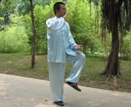 太极拳特点之阴阳论