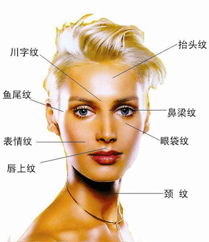 中医提醒：皱纹可反映某些疾病