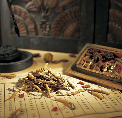 中医看七窍识健康