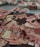 40多万现金被白蚁啃 损失惨重