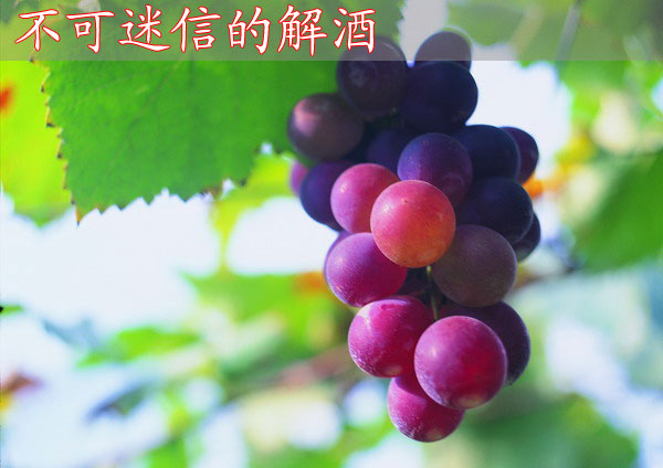 不可迷信的解酒