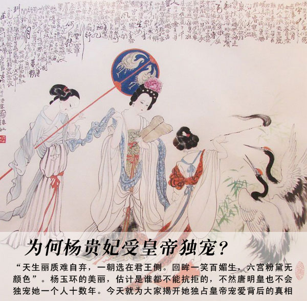 为何杨贵妃受皇帝独宠