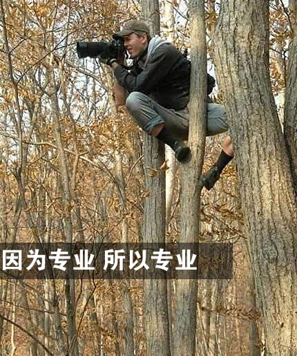看看这些疯狂的摄影师们