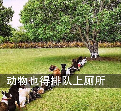 经典恶搞邪恶无极限