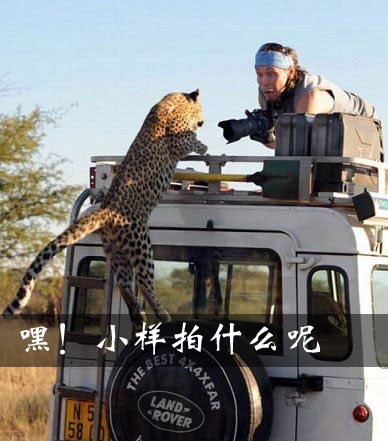 摄影师让人无语的精彩瞬间