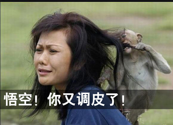 惨遭动物袭击的妹子们