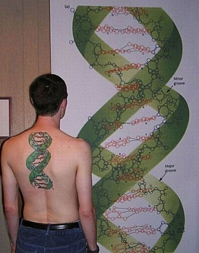 理科学生魔怔纹身