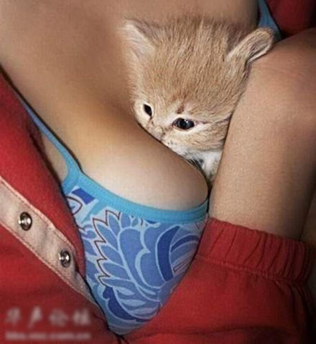 喜欢非礼美女的好色动物 情不自禁色心大起