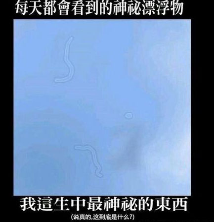 明白了6张以上的智商100