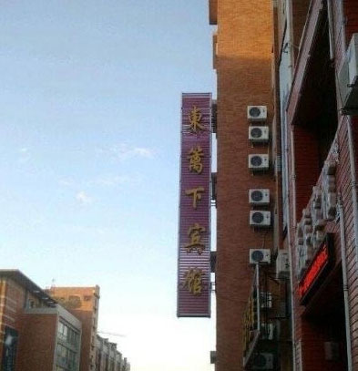 明白了6张以上的智商100