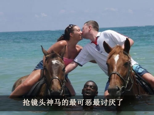 抢镜头神马的最可恶最讨厌了