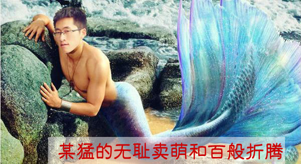 某猛的无耻卖萌和百般折腾
