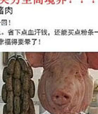 2013爆笑神愿望更奇葩更屌丝 集体哭穷卖萌