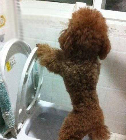 让你笑到眼瞎的内涵图