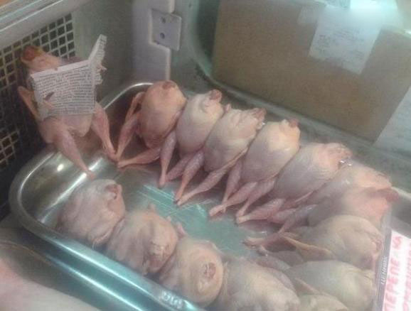 搞笑图片笑死人
