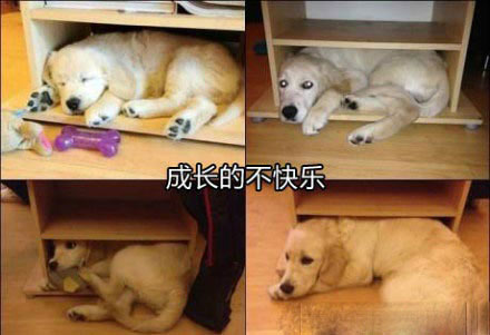 不自觉唱出来了