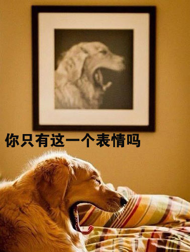 哥们 你千万要手下留情