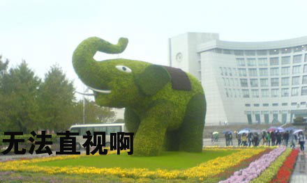 坑爹的大叔：跟我走吧看到这图我顿时震惊了